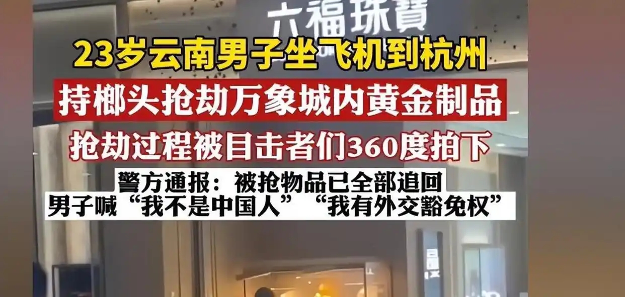 坐飞机抢金店的荒唐行为