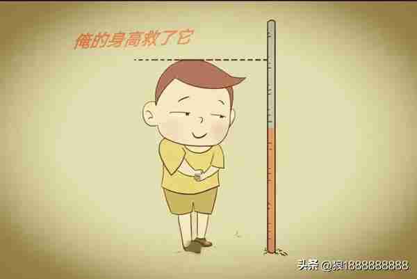 几则令人笑喷的生活小笑话,妙趣横生的笑点,让你过年笑哈哈
