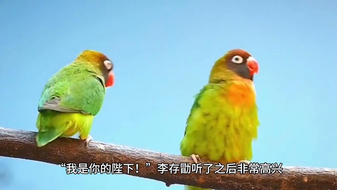 五代十国#历史故事解说