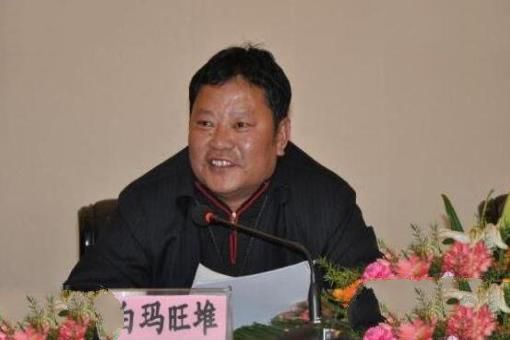 2017年西藏党政领导名单,西藏党政领导人物库市长书记