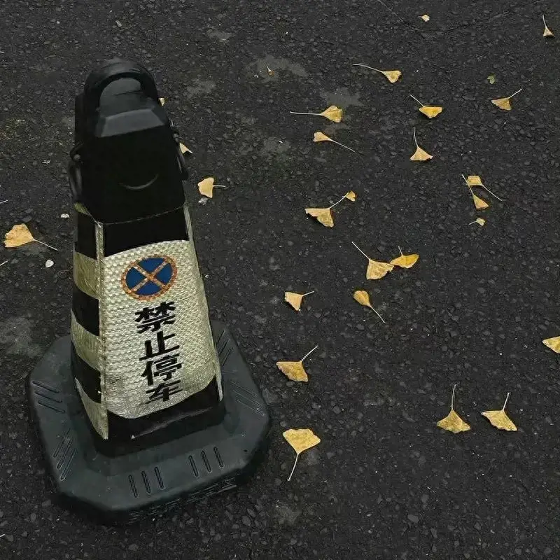 原阳奇闻（胆小者勿入）