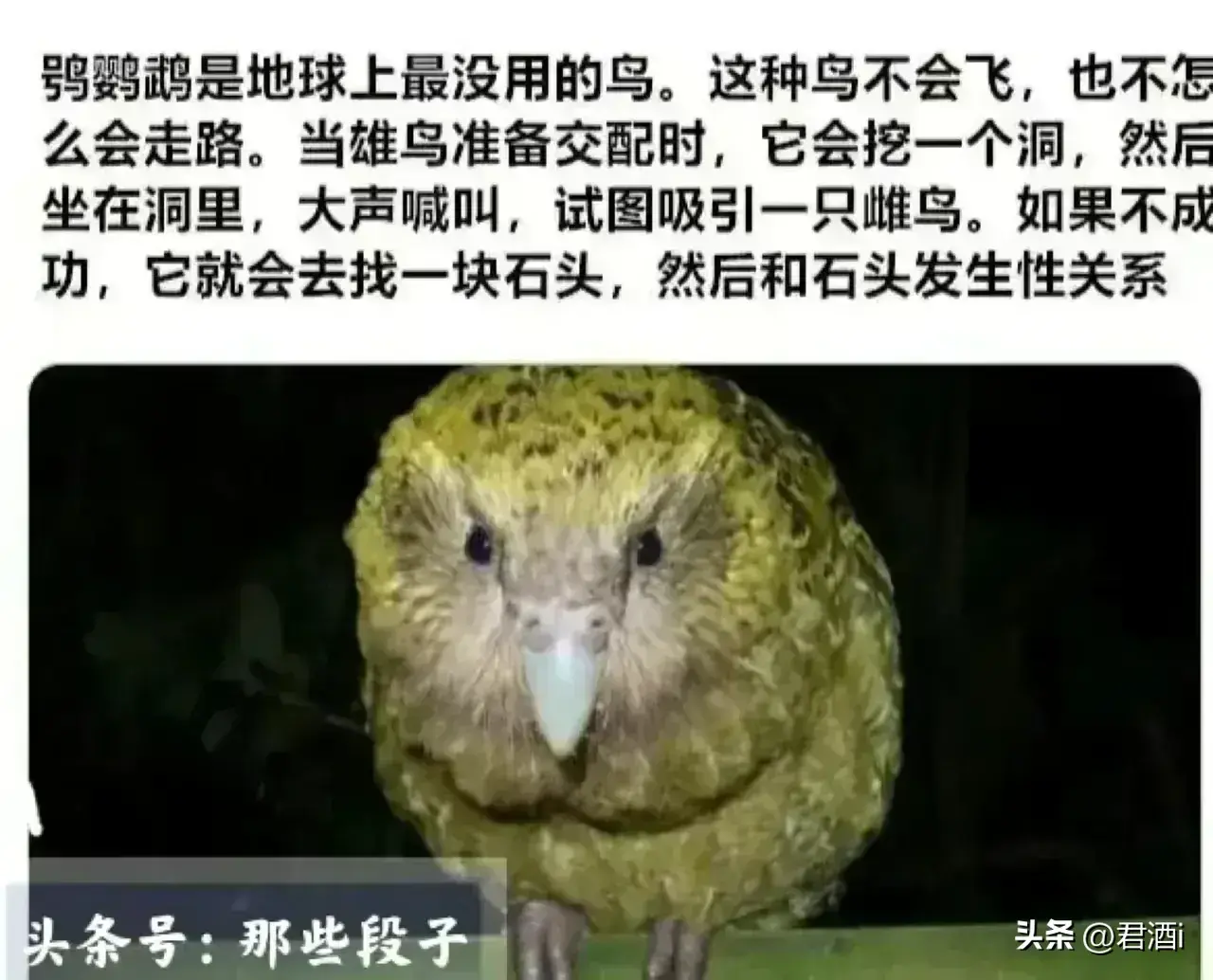 来看看世界上各种奇闻怪事《一》