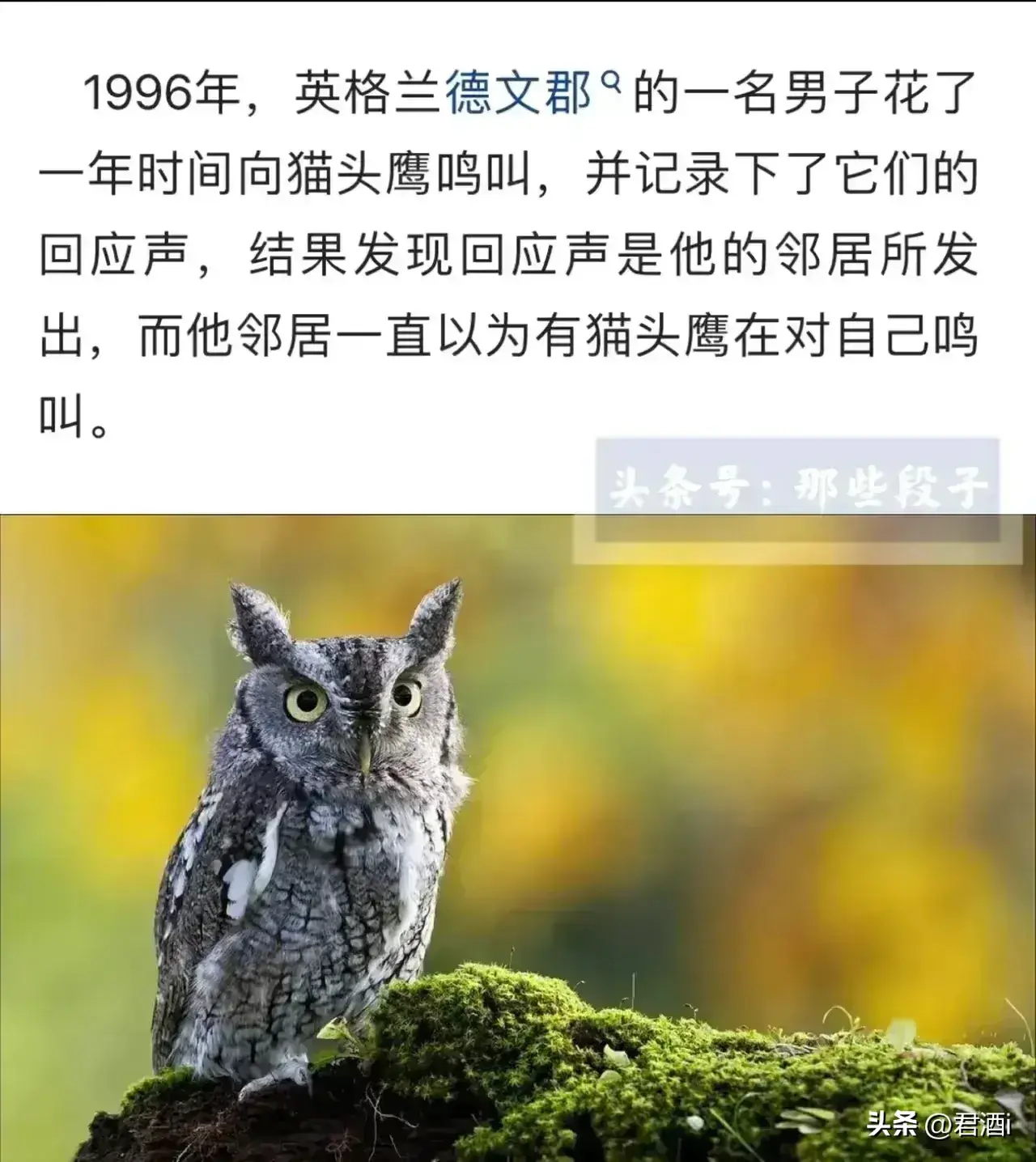 来看看世界上各种奇闻怪事《一》