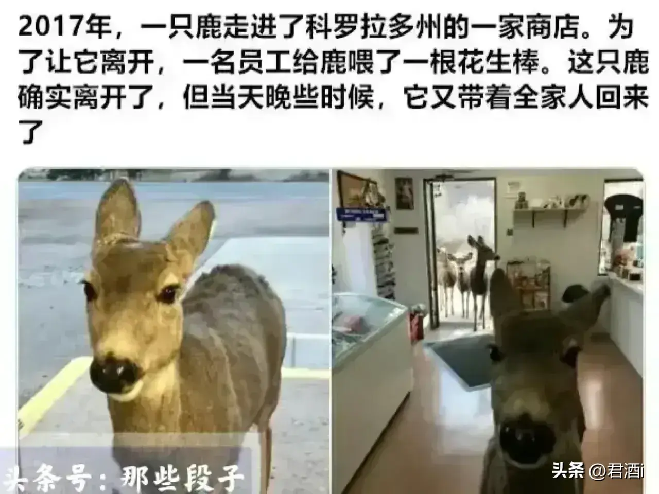 来看看世界上各种奇闻怪事《一》