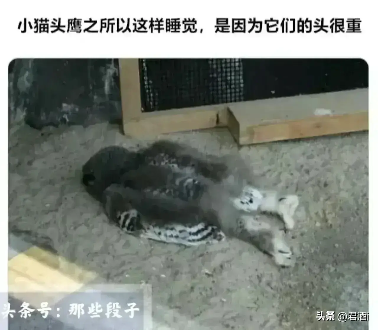 来看看世界上各种奇闻怪事《一》