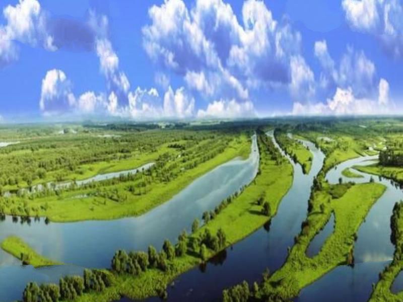 中国十大最美湿地排名，鄱阳湖上榜，第十位于黄河入海口两侧