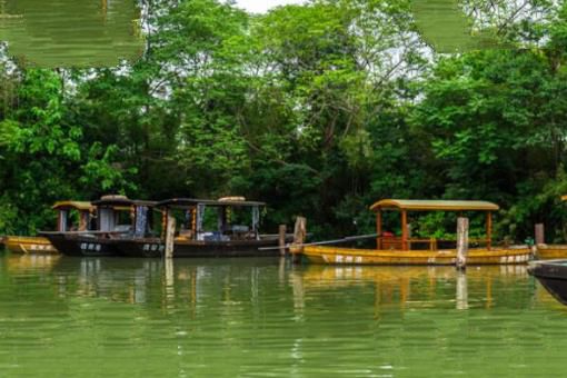 中国十大最美湿地排名，鄱阳湖上榜，第十位于黄河入海口两侧