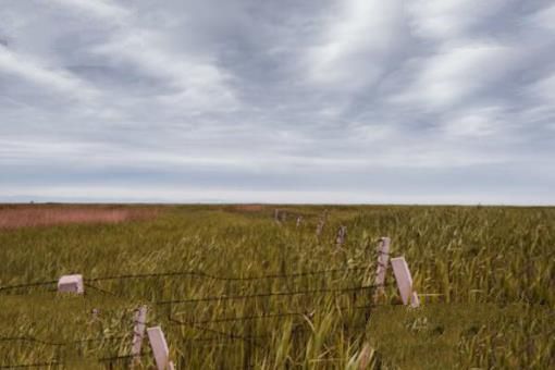 中国十大最美湿地排名，鄱阳湖上榜，第十位于黄河入海口两侧